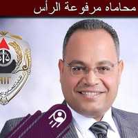 وائل زكريا جرس