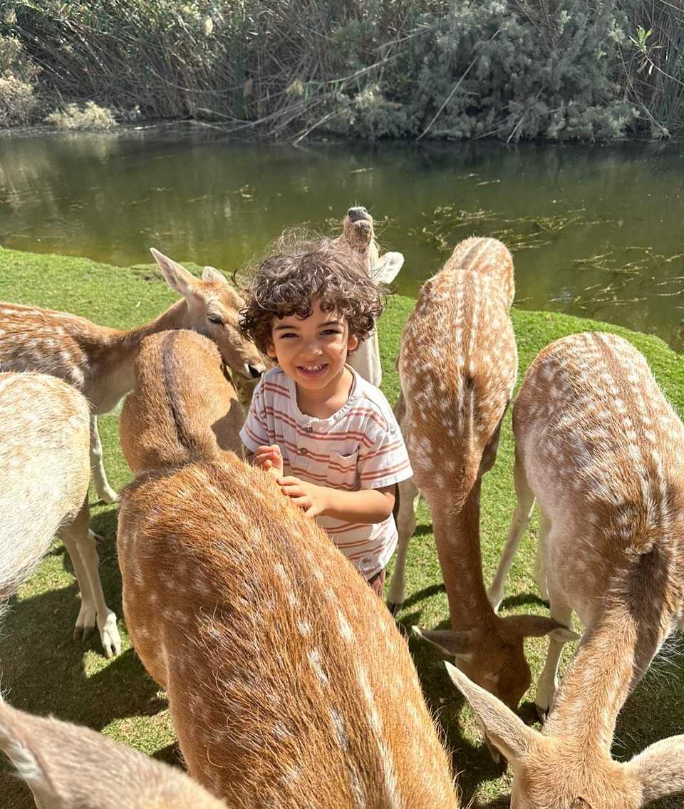 465194187_17986434257750389_2831949520454087499_n.jpg