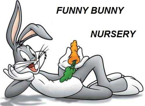 funny bunny nursery